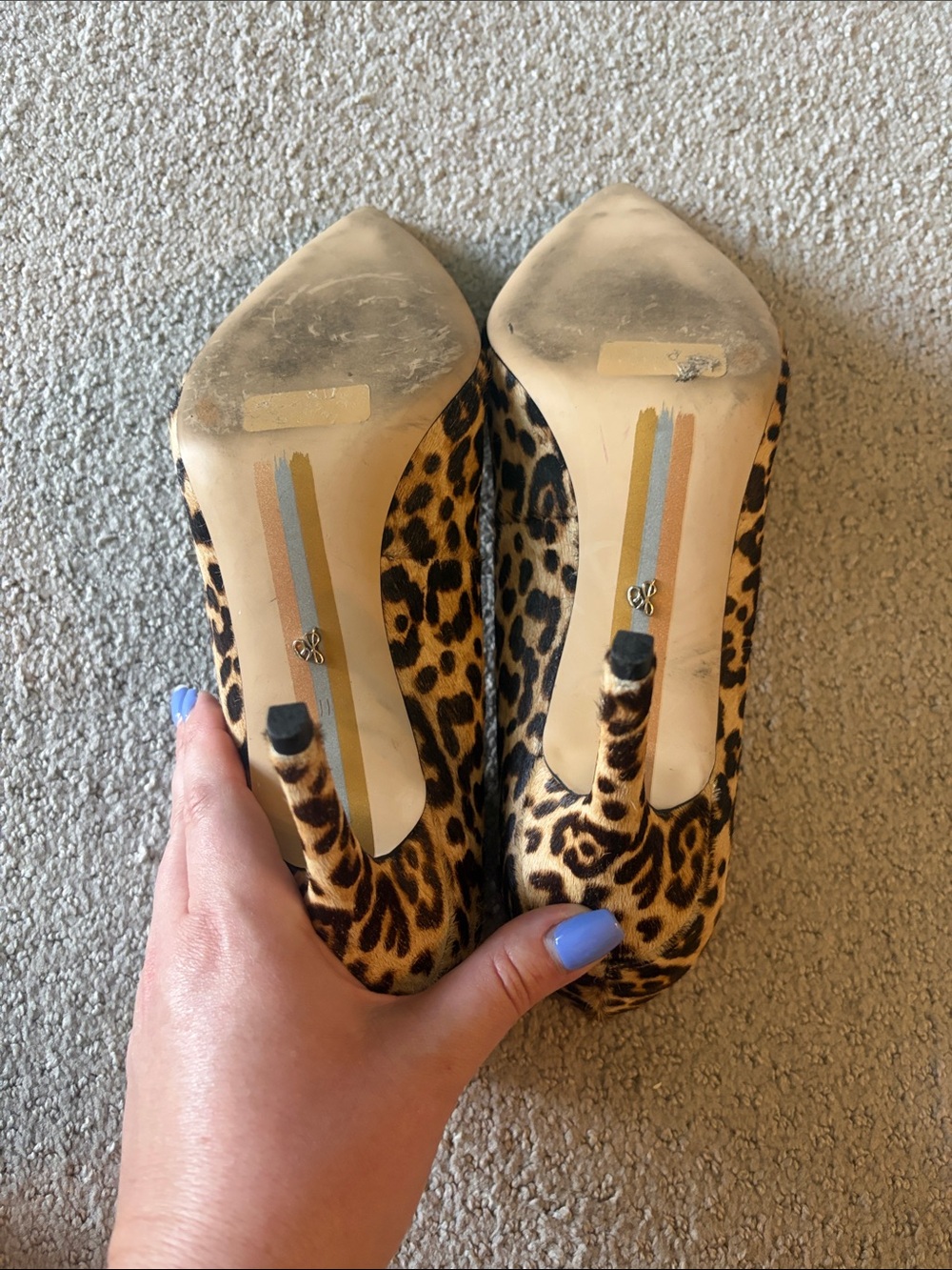 Sam Edelman Leopard Print Pointed Toe Pumps - Brown/Black - Picture 5 of 6